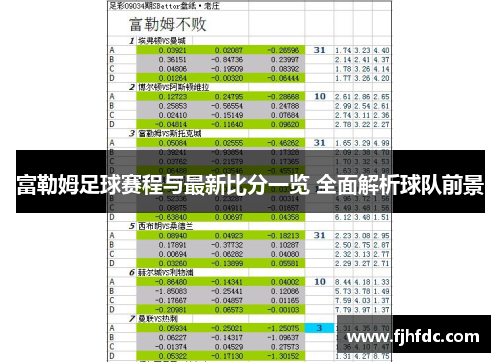 富勒姆足球赛程与最新比分一览 全面解析球队前景